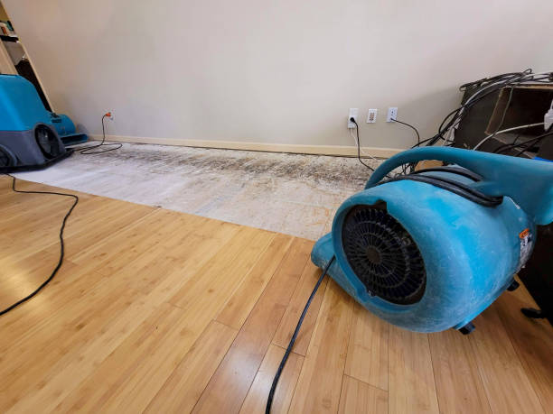 Professional Emergency Water Damage technician working in Zephyrhills, FL